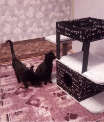 Como fazer uma casa para um gato com suas próprias mãos passo a passo? 150+ (foto) de madeira, papelão, caixas, com um raspador