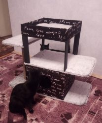 Como fazer uma casa para um gato com suas próprias mãos passo a passo? 150+ (foto) de madeira, papelão, caixas, com um raspador