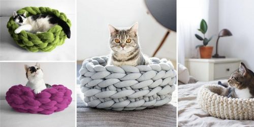 Como fazer uma casa para um gato com suas próprias mãos passo a passo? 150+ (foto) de madeira, papelão, caixas, com um raspador
