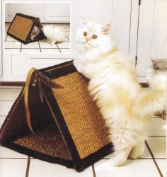 Como fazer uma casa para um gato com suas próprias mãos passo a passo? 150+ (foto) de madeira, papelão, caixas, com um raspador