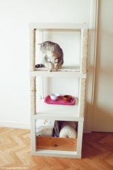 Como fazer uma casa para um gato com suas próprias mãos passo a passo? 150+ (foto) de madeira, papelão, caixas, com um raspador