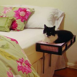 Como fazer uma casa para um gato com suas próprias mãos passo a passo? 150+ (foto) de madeira, papelão, caixas, com um raspador