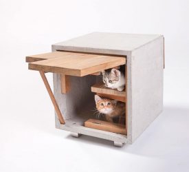 Como fazer uma casa para um gato com suas próprias mãos passo a passo? 150+ (foto) de madeira, papelão, caixas, com um raspador
