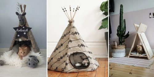Como fazer uma casa para um gato com suas próprias mãos passo a passo? 150+ (foto) de madeira, papelão, caixas, com um raspador