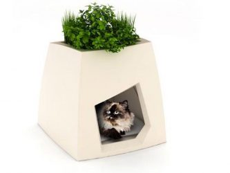 Como fazer uma casa para um gato com suas próprias mãos passo a passo? 150+ (foto) de madeira, papelão, caixas, com um raspador
