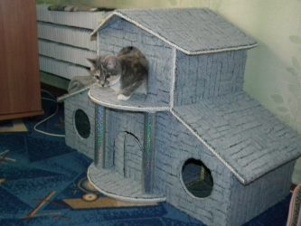 Como fazer uma casa para um gato com suas próprias mãos passo a passo? 150+ (foto) de madeira, papelão, caixas, com um raspador