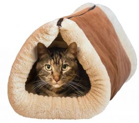 Como fazer uma casa para um gato com suas próprias mãos passo a passo? 150+ (foto) de madeira, papelão, caixas, com um raspador