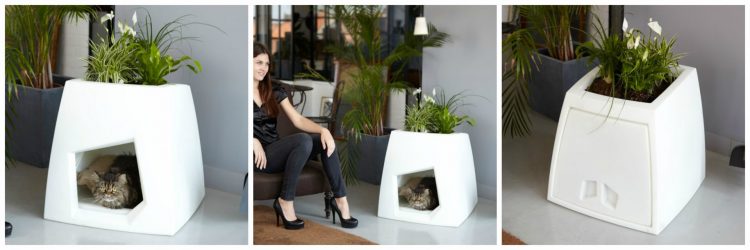 Como fazer uma casa para um gato com suas próprias mãos passo a passo? 150+ (foto) de madeira, papelão, caixas, com um raspador