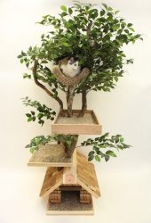 Como fazer uma casa para um gato com suas próprias mãos passo a passo? 150+ (foto) de madeira, papelão, caixas, com um raspador