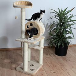 Como fazer uma casa para um gato com suas próprias mãos passo a passo? 150+ (foto) de madeira, papelão, caixas, com um raspador