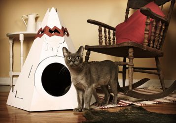 Como fazer uma casa para um gato com suas próprias mãos passo a passo? 150+ (foto) de madeira, papelão, caixas, com um raspador