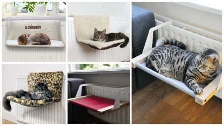 Como fazer uma casa para um gato com suas próprias mãos passo a passo? 150+ (foto) de madeira, papelão, caixas, com um raspador