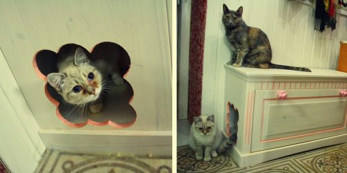 Como fazer uma casa para um gato com suas próprias mãos passo a passo? 150+ (foto) de madeira, papelão, caixas, com um raspador