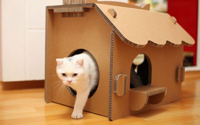 Como fazer uma casa para um gato com suas próprias mãos passo a passo? 150+ (foto) de madeira, papelão, caixas, com um raspador