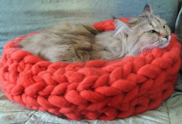 Como fazer uma casa para um gato com suas próprias mãos passo a passo? 150+ (foto) de madeira, papelão, caixas, com um raspador
