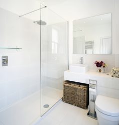 O que você precisa saber sobre o chuveiro com uma bandeja funda? Todas as vantagens e desvantagens do design