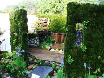 Pátio de design paisagístico moderno de uma casa privada (mais de 160 fotos). Como lindamente organizar e decorar suas próprias mãos