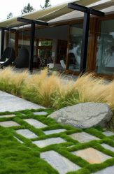 Pátio de design paisagístico moderno de uma casa privada (mais de 160 fotos). Como lindamente organizar e decorar suas próprias mãos