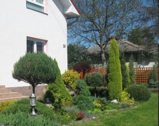 Pátio de design paisagístico moderno de uma casa privada (mais de 160 fotos). Como lindamente organizar e decorar suas próprias mãos