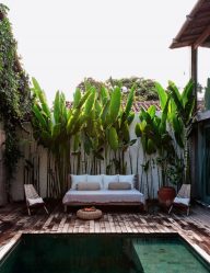 Pátio de design paisagístico moderno de uma casa privada (mais de 160 fotos). Como lindamente organizar e decorar suas próprias mãos