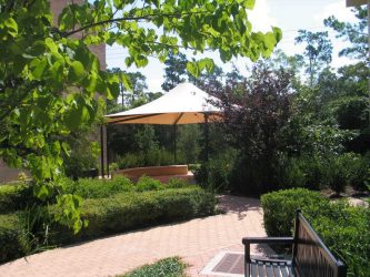 Pátio de design paisagístico moderno de uma casa privada (mais de 160 fotos). Como lindamente organizar e decorar suas próprias mãos