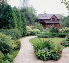 Pátio de design paisagístico moderno de uma casa privada (mais de 160 fotos). Como lindamente organizar e decorar suas próprias mãos