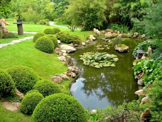 Pátio de design paisagístico moderno de uma casa privada (mais de 160 fotos). Como lindamente organizar e decorar suas próprias mãos
