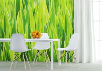 A escolha do papel de parede da foto para a cozinha - Uma solução interessante para qualquer projeto (mais de 185 fotos)