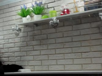 Telhas de gesso para decoração de interiores: 160+ Foto (sob a pedra, sob o tijolo) para auto-expressão brilhante