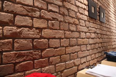 Telhas de gesso para decoração de interiores: 160+ Foto (sob a pedra, sob o tijolo) para auto-expressão brilhante