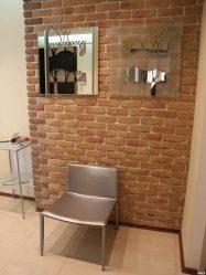 Telhas de gesso para decoração de interiores: 160+ Foto (sob a pedra, sob o tijolo) para auto-expressão brilhante