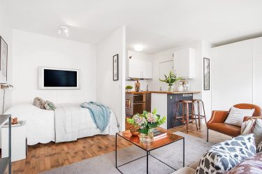 Zoneamento da sala de estar e quarto na mesma sala (235+ Design Photos): use o espaço com benefício e conveniência