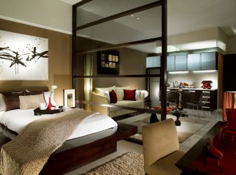 Zoneamento da sala de estar e quarto na mesma sala (235+ Design Photos): use o espaço com benefício e conveniência