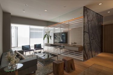 Zoneamento da sala de estar e quarto na mesma sala (235+ Design Photos): use o espaço com benefício e conveniência