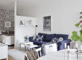Zoneamento da sala de estar e quarto na mesma sala (235+ Design Photos): use o espaço com benefício e conveniência