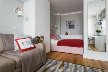 Zoneamento da sala de estar e quarto na mesma sala (235+ Design Photos): use o espaço com benefício e conveniência