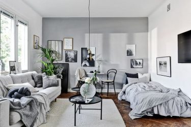 Zoneamento da sala de estar e quarto na mesma sala (235+ Design Photos): use o espaço com benefício e conveniência