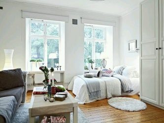 Zoneamento da sala de estar e quarto na mesma sala (235+ Design Photos): use o espaço com benefício e conveniência
