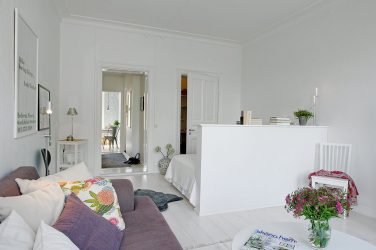 Zoneamento da sala de estar e quarto na mesma sala (235+ Design Photos): use o espaço com benefício e conveniência