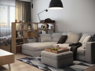 Zoneamento da sala de estar e quarto na mesma sala (235+ Design Photos): use o espaço com benefício e conveniência