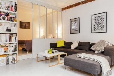 Zoneamento da sala de estar e quarto na mesma sala (235+ Design Photos): use o espaço com benefício e conveniência