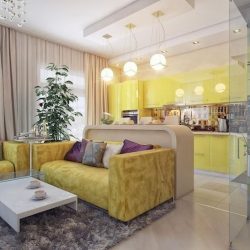 Cozinha design sala de estar em uma casa particular (mais de 200 fotos): técnicas de design e métodos de orçamento de transformação