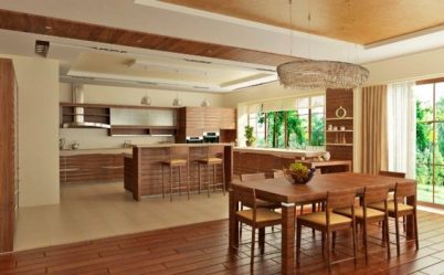 Cozinha design sala de estar em uma casa particular (mais de 200 fotos): técnicas de design e métodos de orçamento de transformação