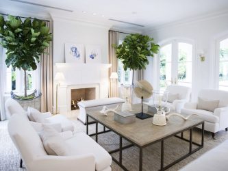 Cozinha design sala de estar em uma casa particular (mais de 200 fotos): técnicas de design e métodos de orçamento de transformação
