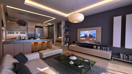 Cozinha design sala de estar em uma casa particular (mais de 200 fotos): técnicas de design e métodos de orçamento de transformação