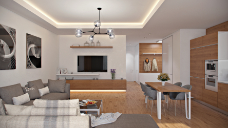 Cozinha design sala de estar em uma casa particular (mais de 200 fotos): técnicas de design e métodos de orçamento de transformação