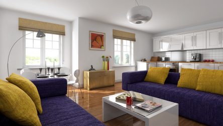 Cozinha design sala de estar em uma casa particular (mais de 200 fotos): técnicas de design e métodos de orçamento de transformação