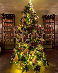 Milagre de Natal de 2019: 180+ (Foto) Idéias para uma decoração bonita e elegante com suas próprias mãos. Preparando-se para as férias com antecedência (+ Avaliações)