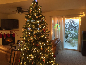 Milagre de Natal de 2019: 180+ (Foto) Idéias para uma decoração bonita e elegante com suas próprias mãos. Preparando-se para as férias com antecedência (+ Avaliações)