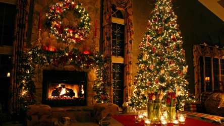 Milagre de Natal de 2019: 180+ (Foto) Idéias para uma decoração bonita e elegante com suas próprias mãos. Preparando-se para as férias com antecedência (+ Avaliações)